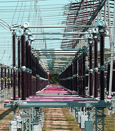 Demo Image